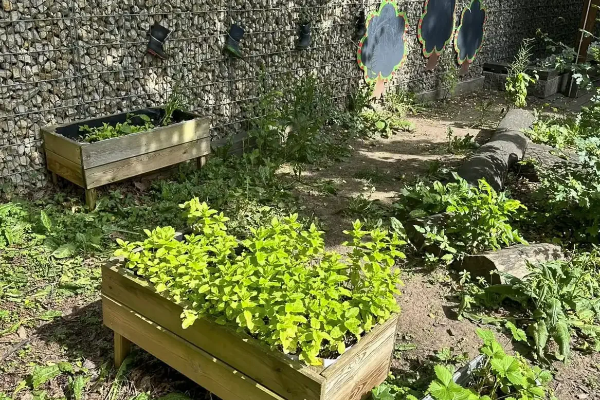 Garten mit Beeten